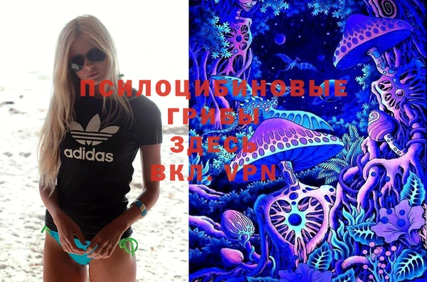 трава Арсеньев