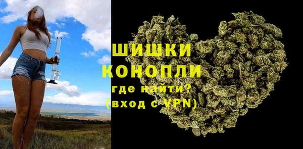 трава Арсеньев